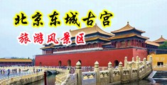 处女肏逼视频中国北京-东城古宫旅游风景区